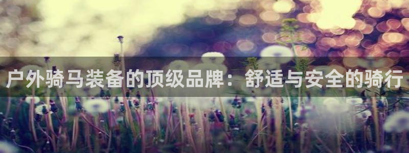 b体育官方体育app登录入口手机版