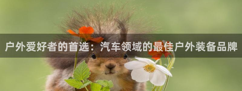 Bsport体育·中国官方网站
