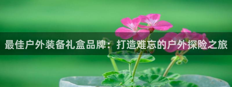 b体育(中国)官方网站