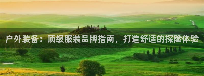 必一体育网页登录版官网