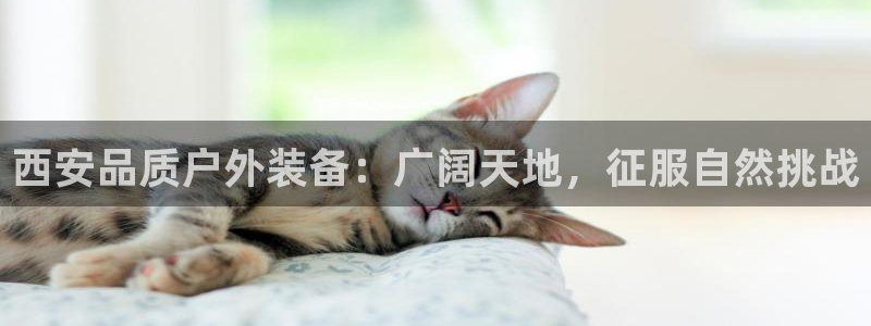 必一体育官方网站入口