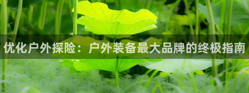 必一运动sport网页版登录