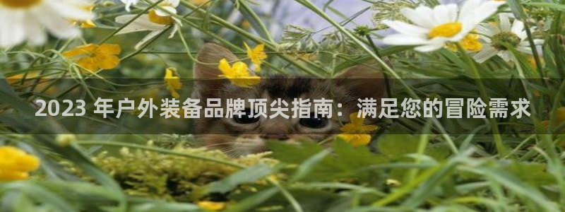 b体育官方体育app登录入口手机版