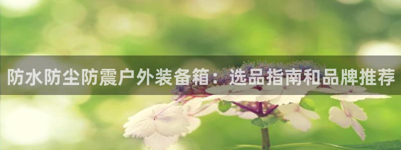 Bsports必一体育下载