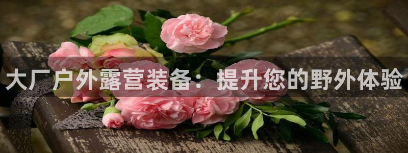 b体育在线登录入口app免费