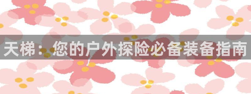 b体育(中国)官方网站
