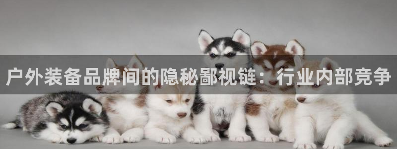 Bsports网页版APP