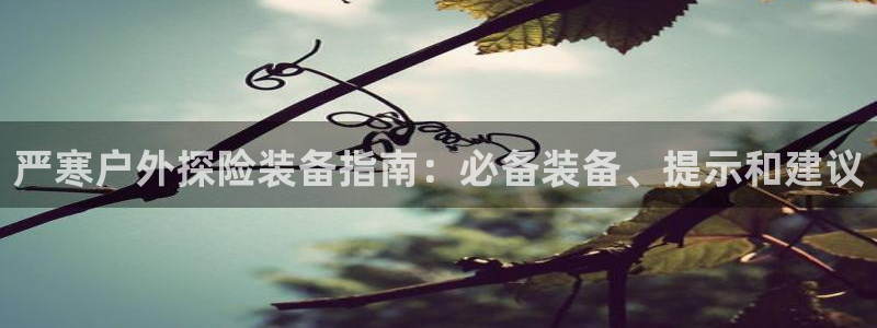 必一体育app下载