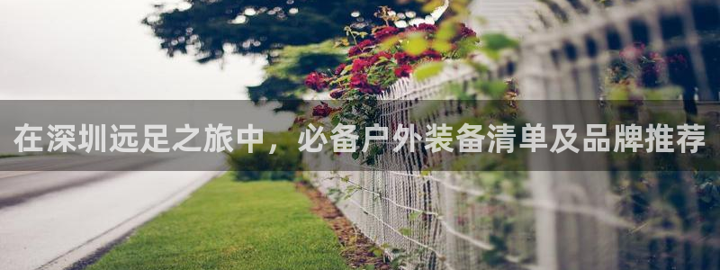bsport体育·b体育(中国)官方网站